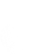 Icono corazón saludable